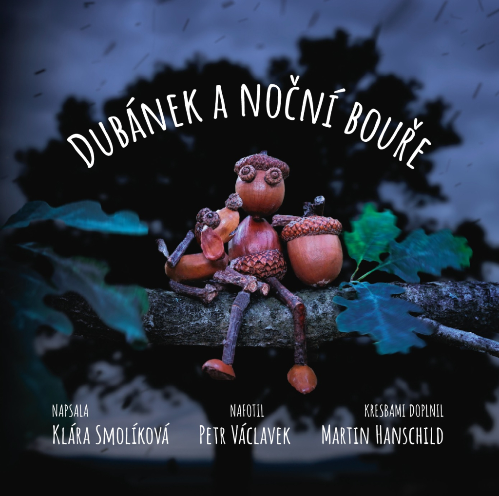 Výstava: Dubánek a noční bouře