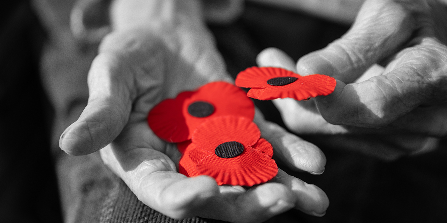 Sbírka: Den válečných veteránů