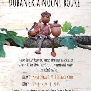 Výstava: Dubánek a noční bouře