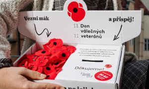 Sbírka ke Dni válčných veteránů