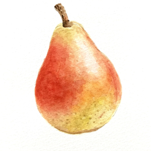 Výstava obrazů/Janka Musilová