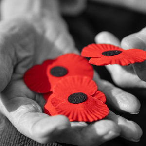 Sbírka: Den válečných veteránů